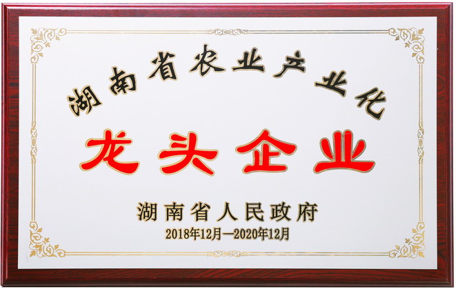 關于聰廚 关于聪厨